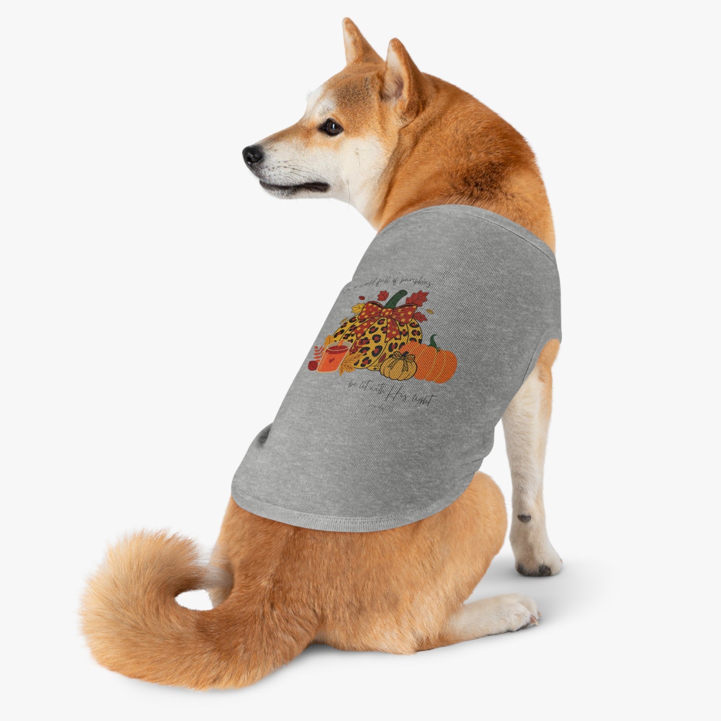 Pet Tee- Pumpkins
