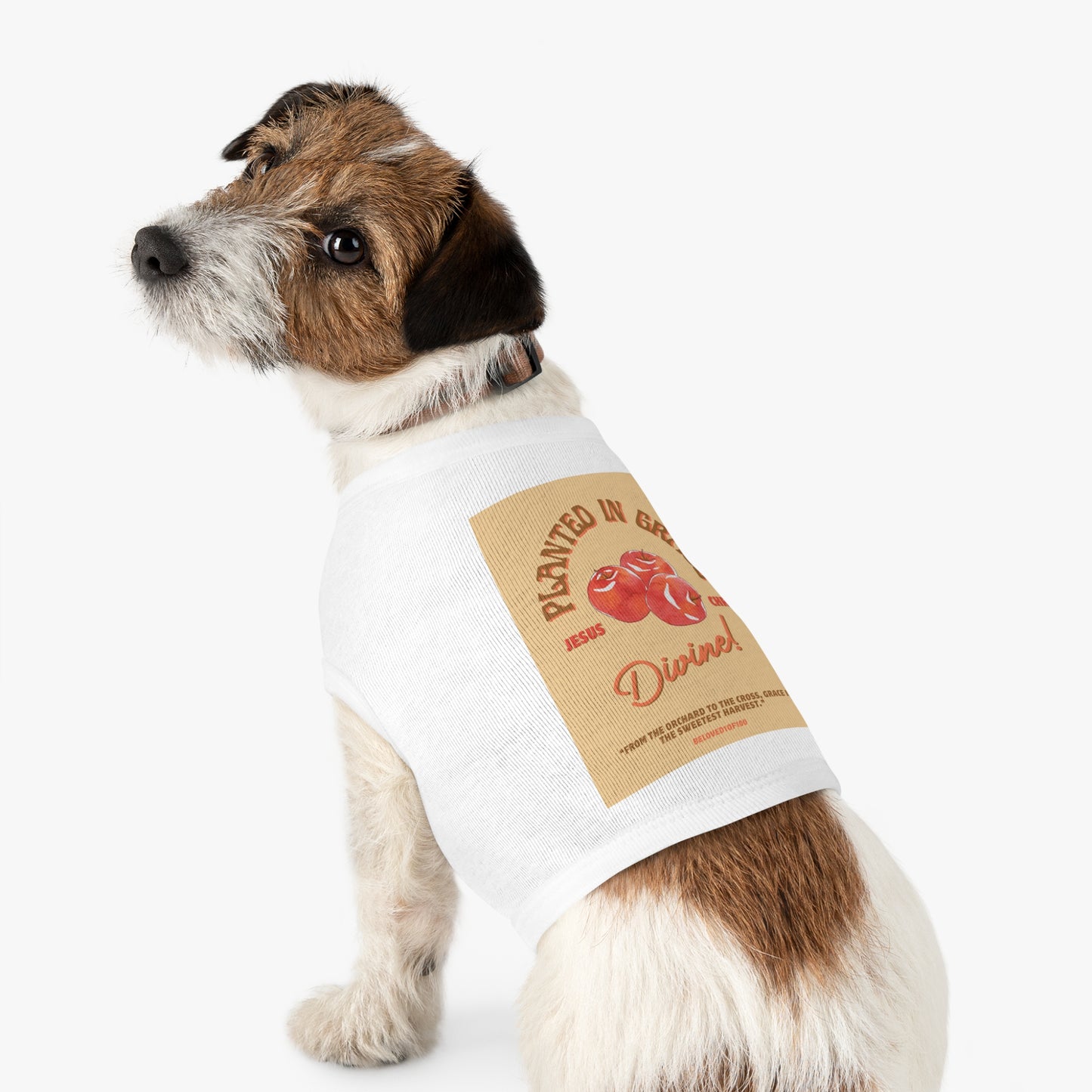 Pet Tee- Divine Apple