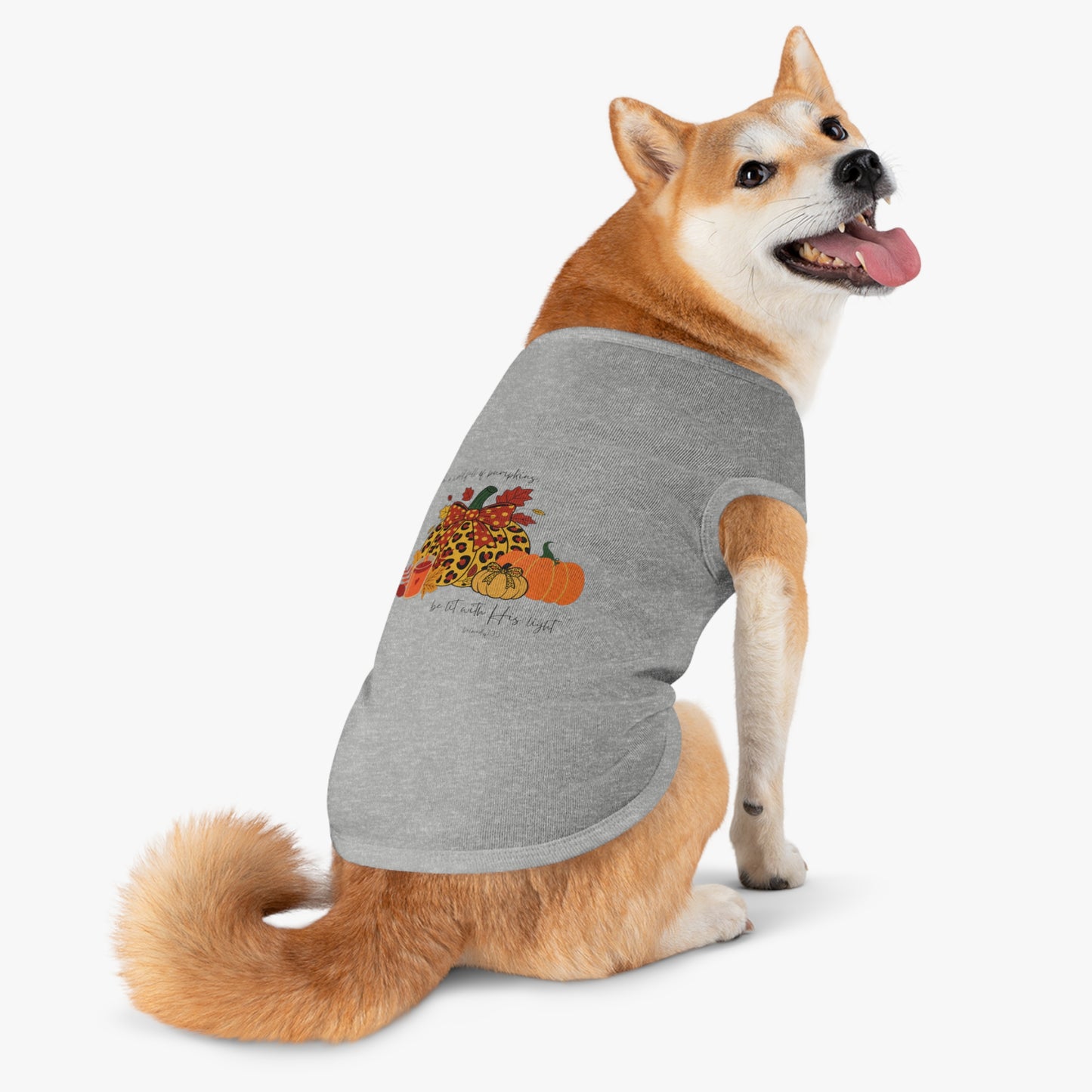 Pet Tee- Pumpkins