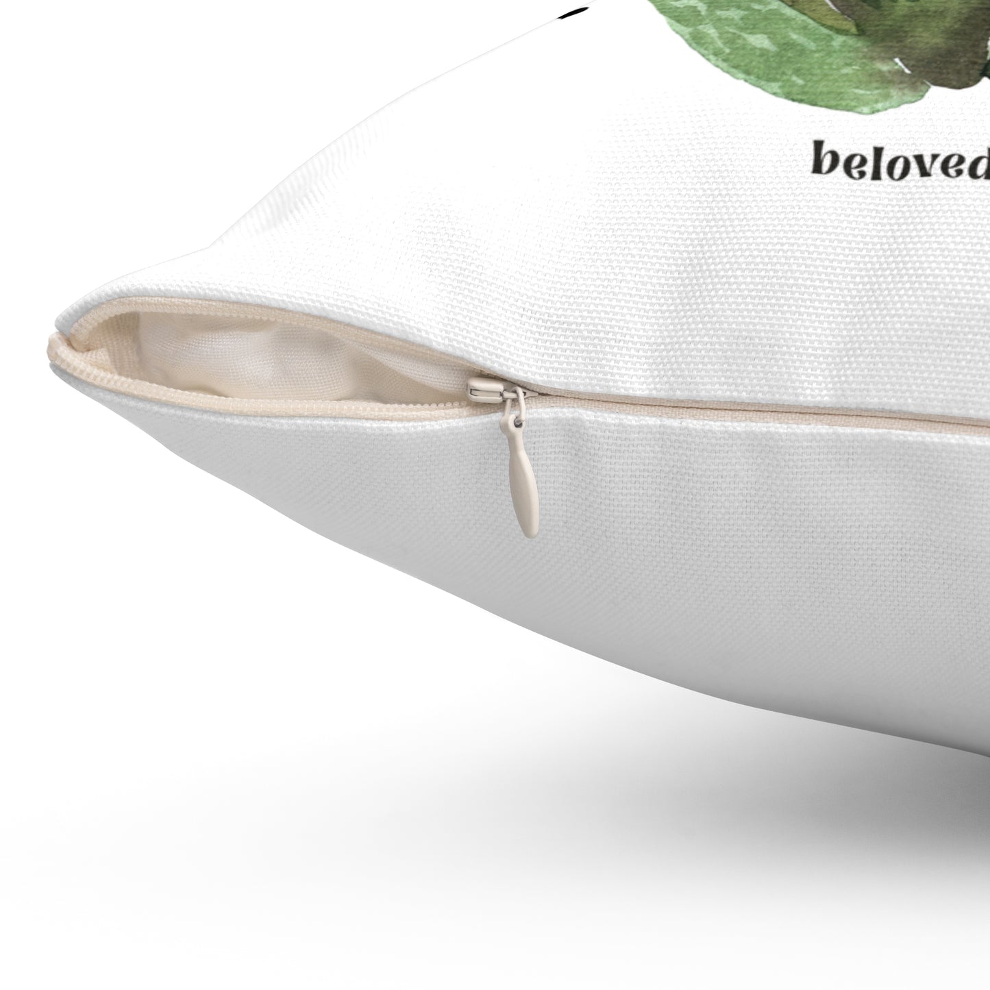 Throw Pillow- Aloe being sober