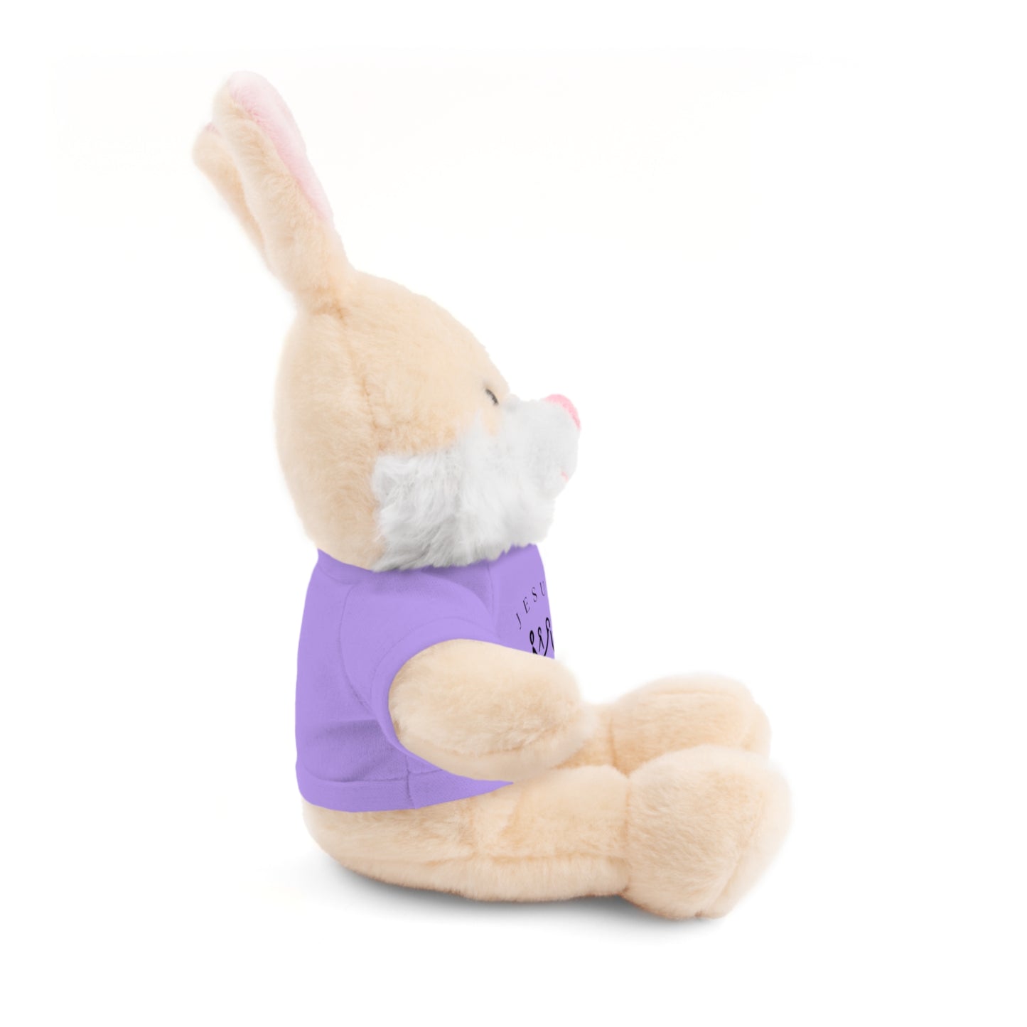 Plush Animals- Jesus is King Pattern