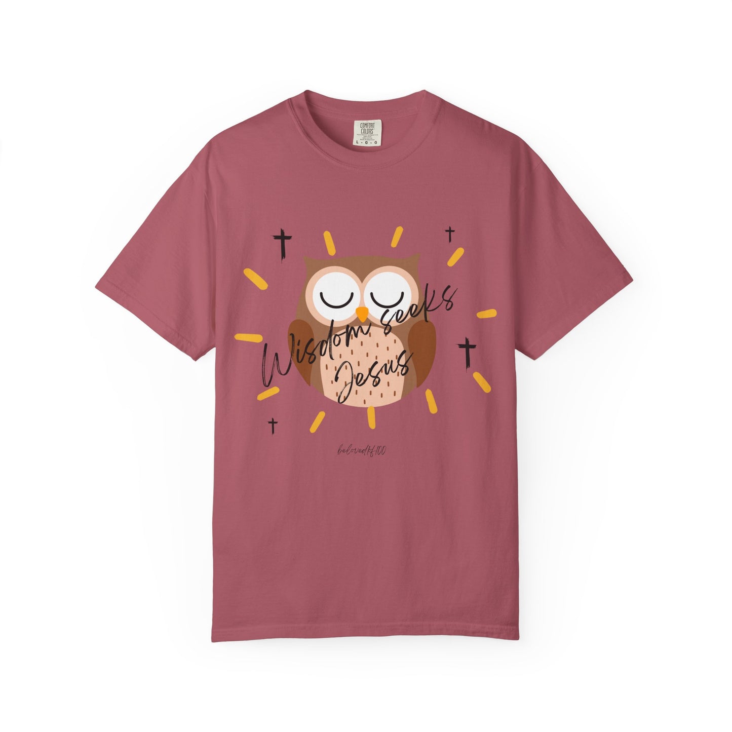 Adult Tee - Wisdom seeks Jesus