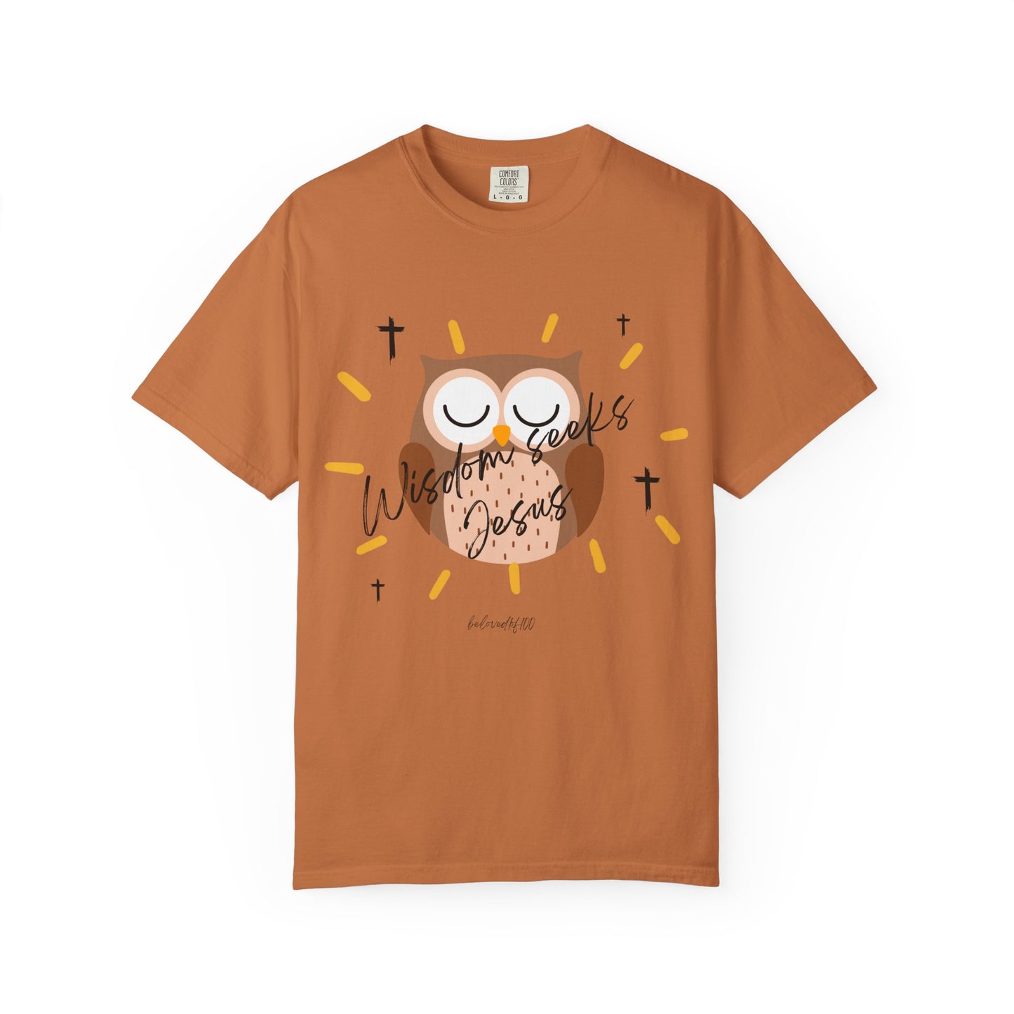 Adult Tee - Wisdom seeks Jesus