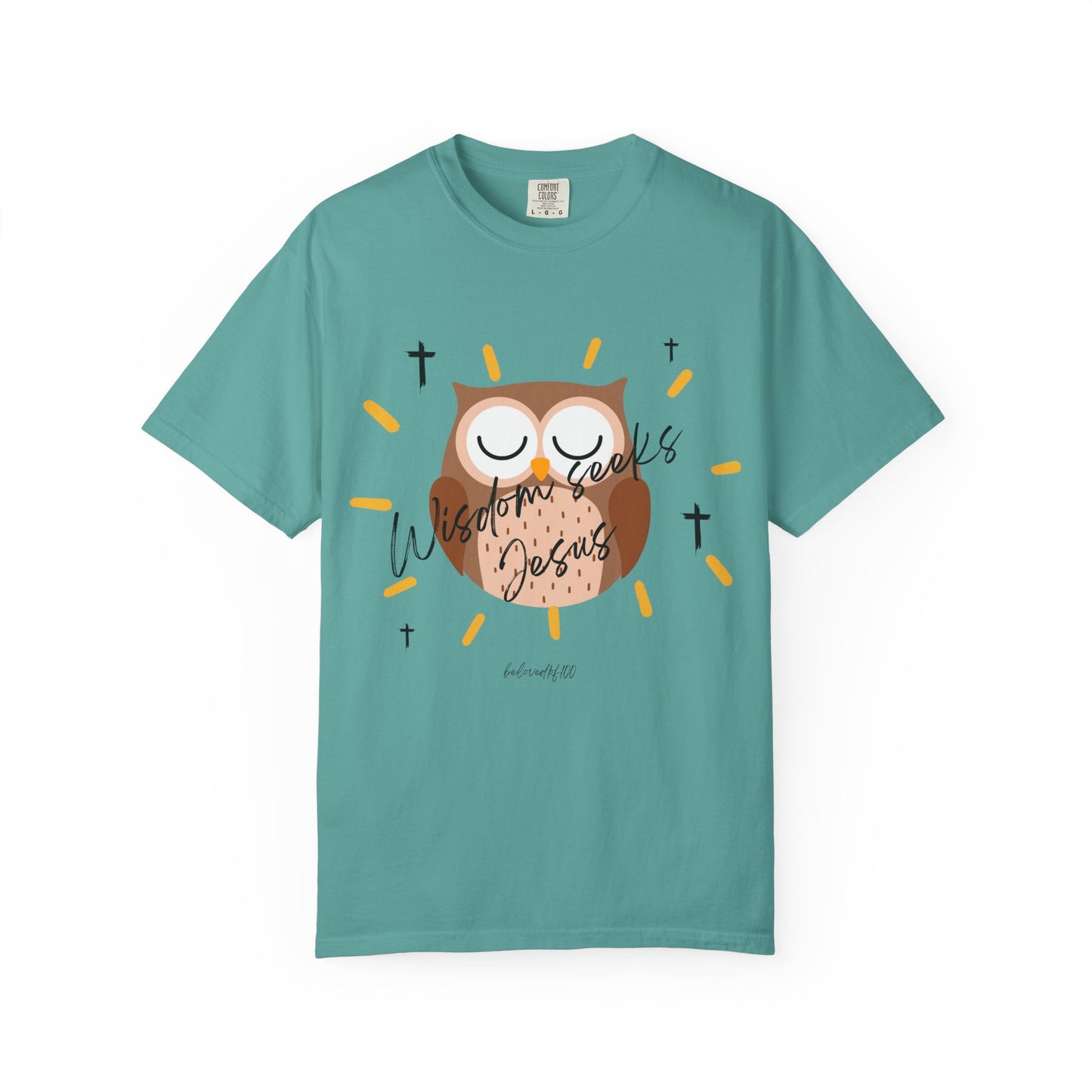 Adult Tee - Wisdom seeks Jesus