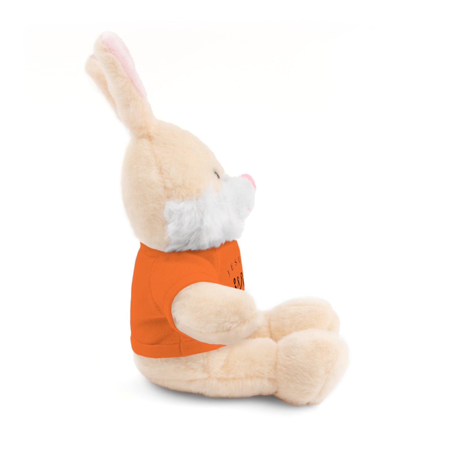 Plush Animals- Jesus is King Pattern