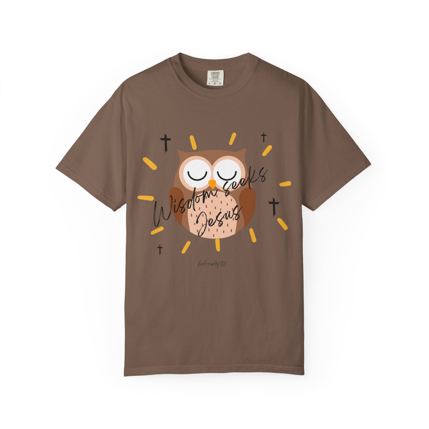 Adult Tee - Wisdom seeks Jesus