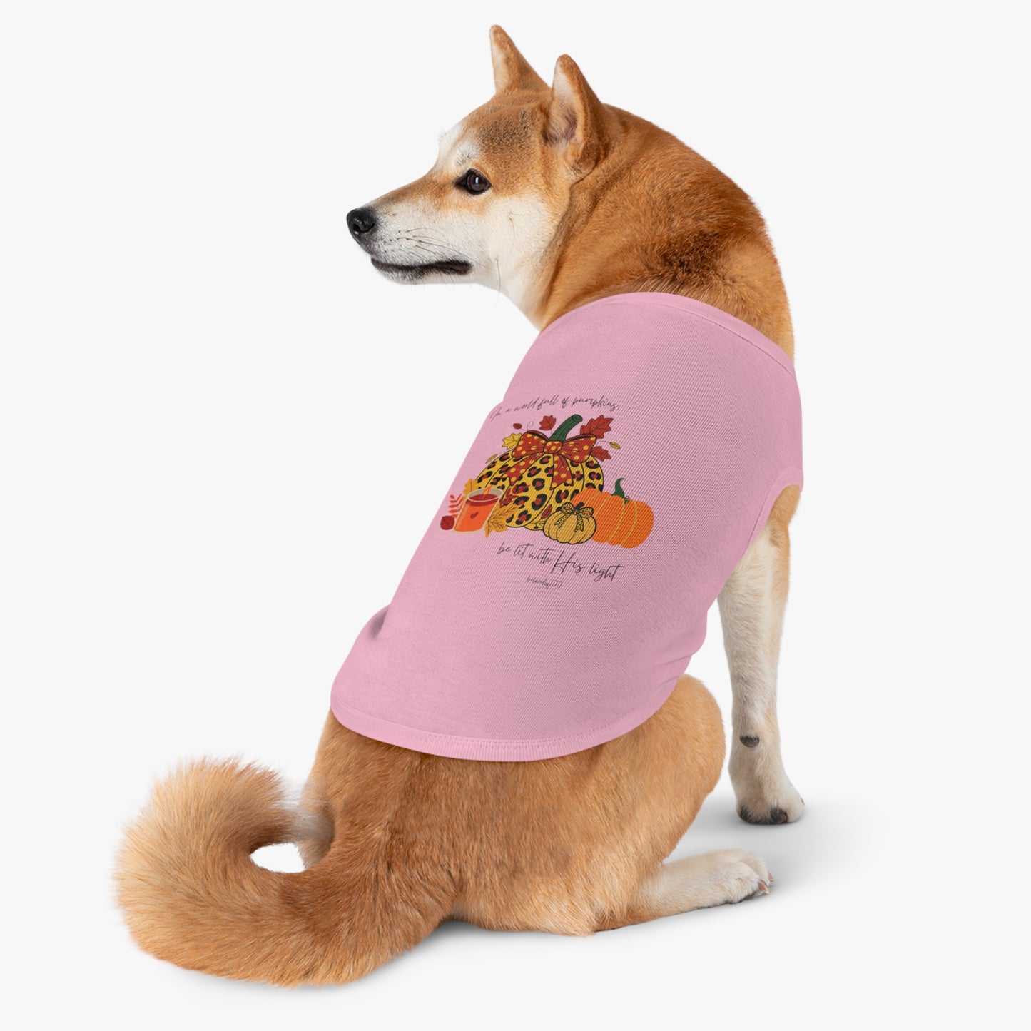 Pet Tee- Pumpkins