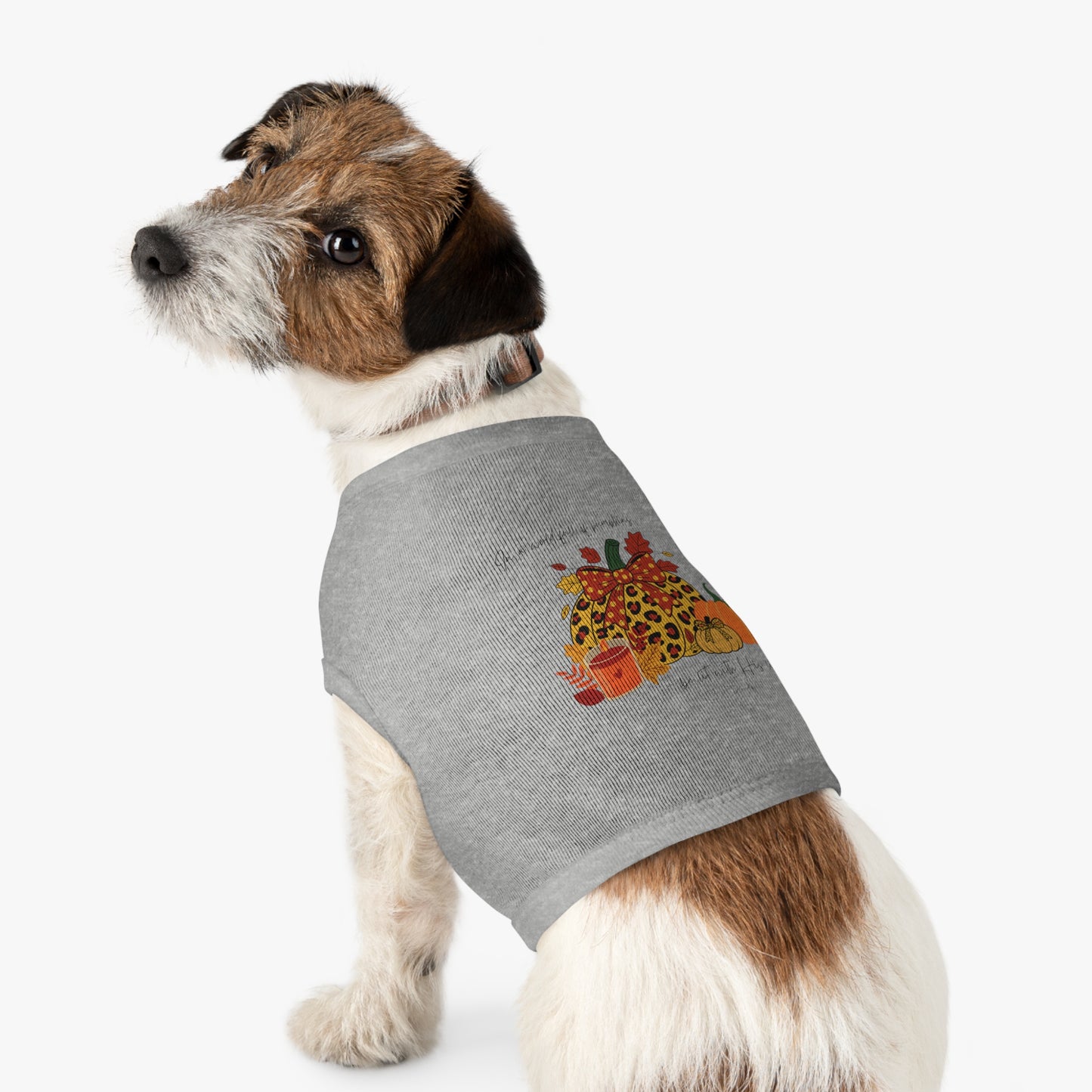Pet Tee- Pumpkins