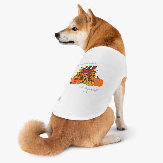 Pet Tee- Pumpkins