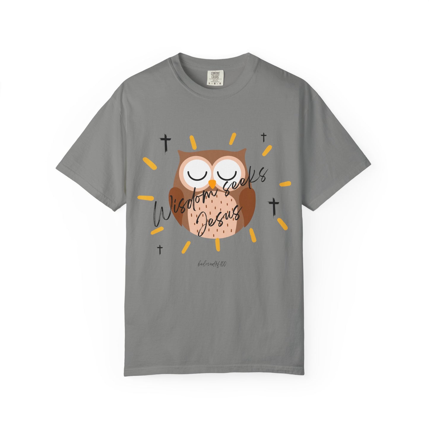 Adult Tee - Wisdom seeks Jesus