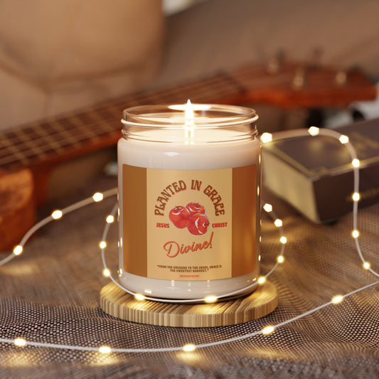 Soy Candle - Divine Apple