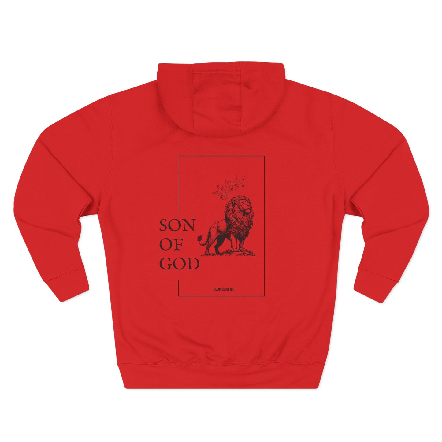 Hoodie - Son of God