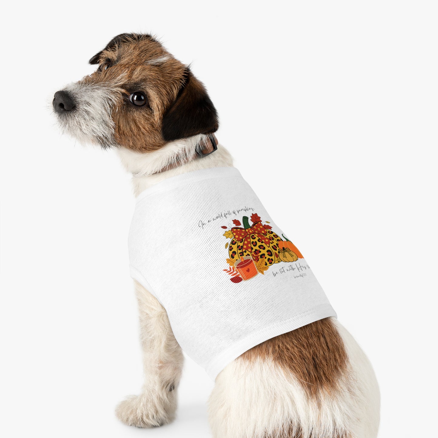Pet Tee- Pumpkins