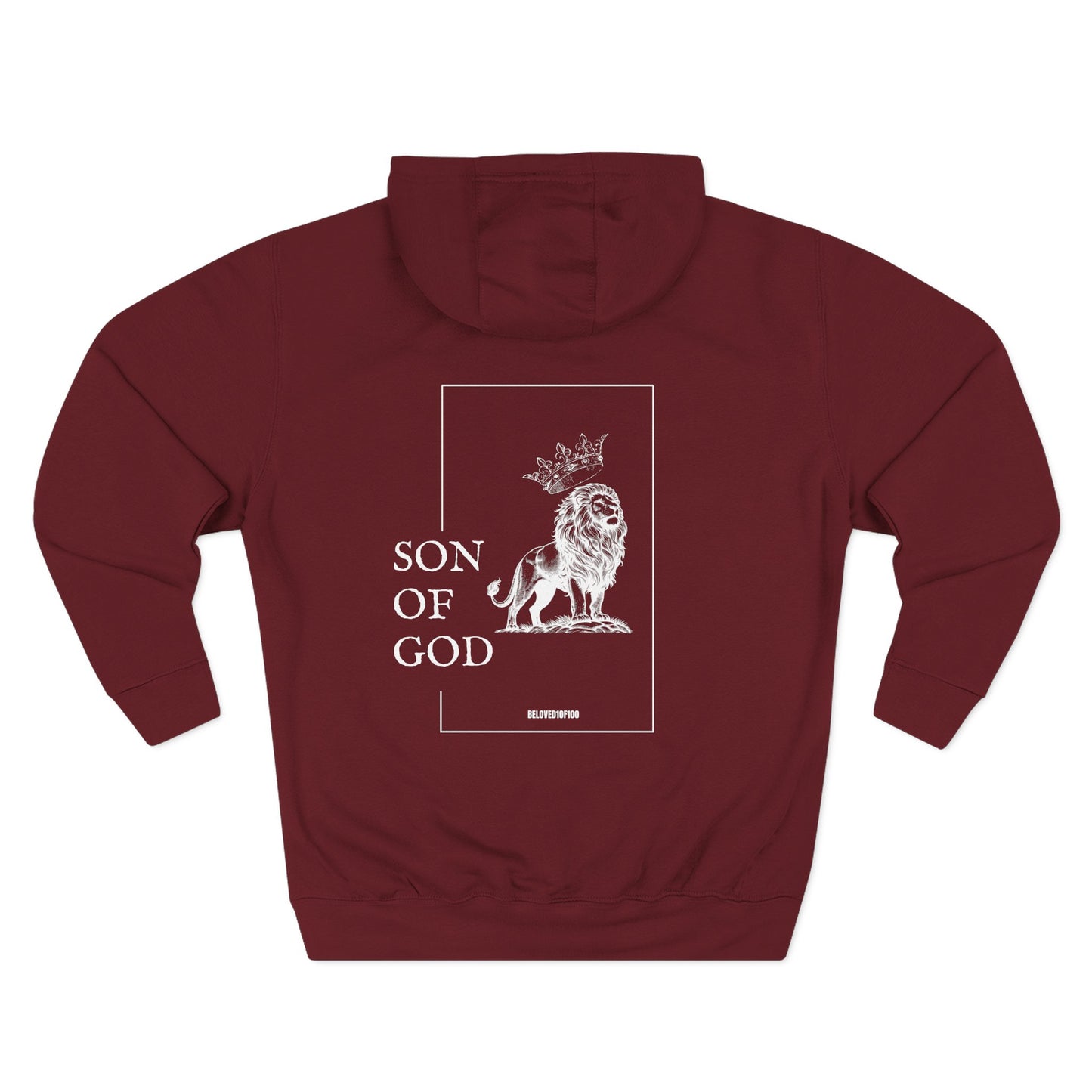 Hoodie - Son of God