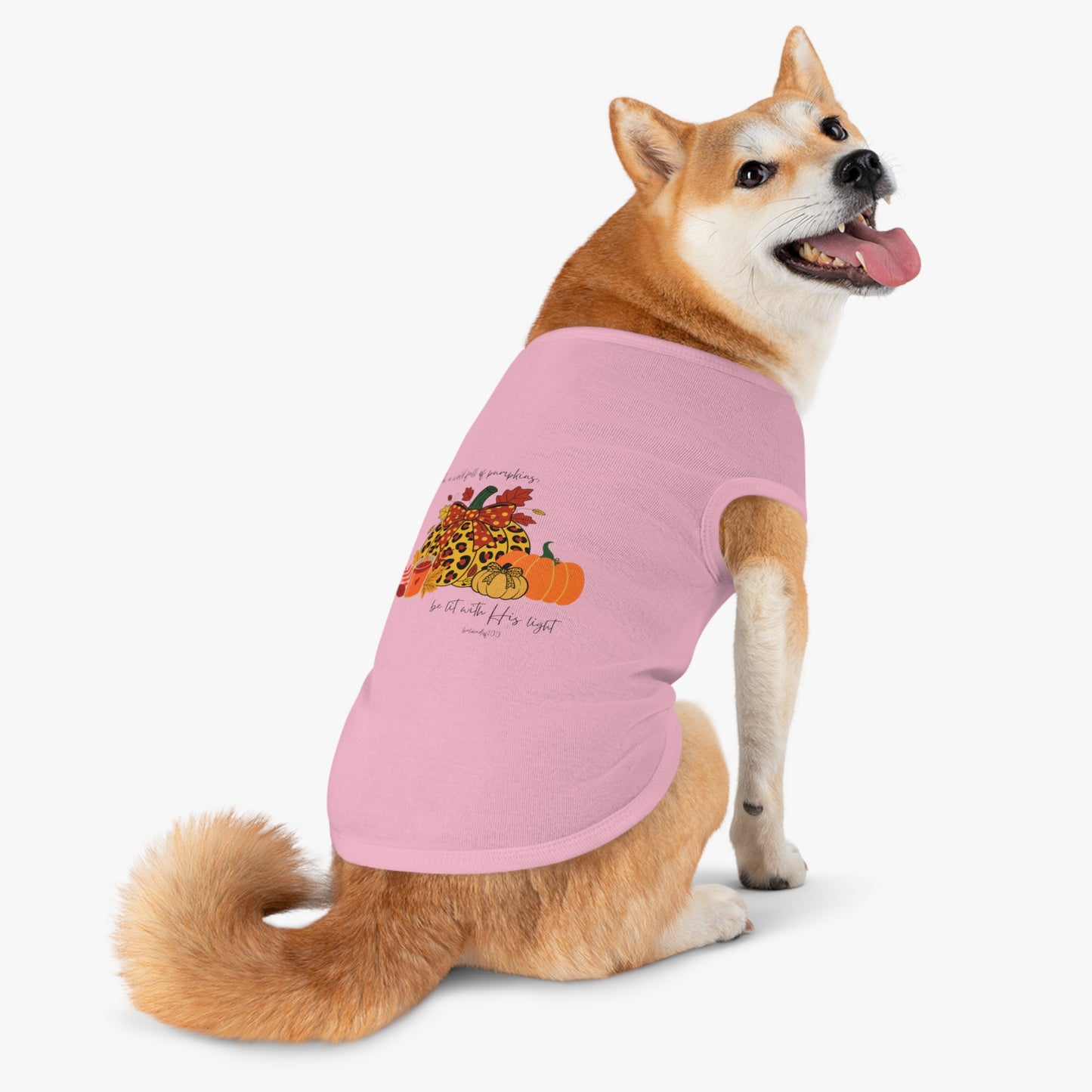 Pet Tee- Pumpkins